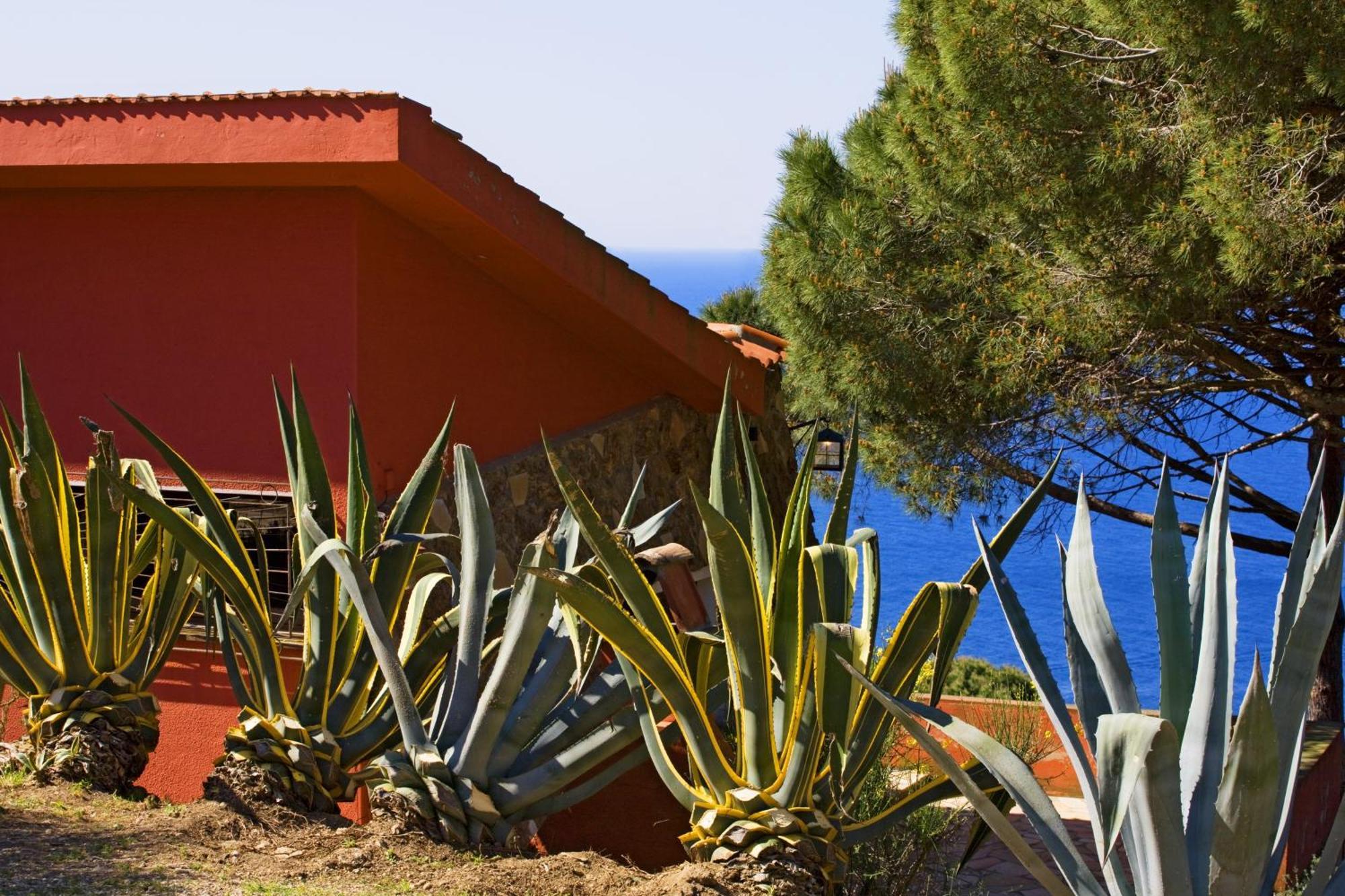 Tenuta Delle Ripalte Capoliveri  Værelse billede